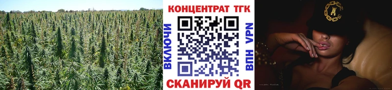 купить  сайты  Зеленодольск  ТГК жижа 